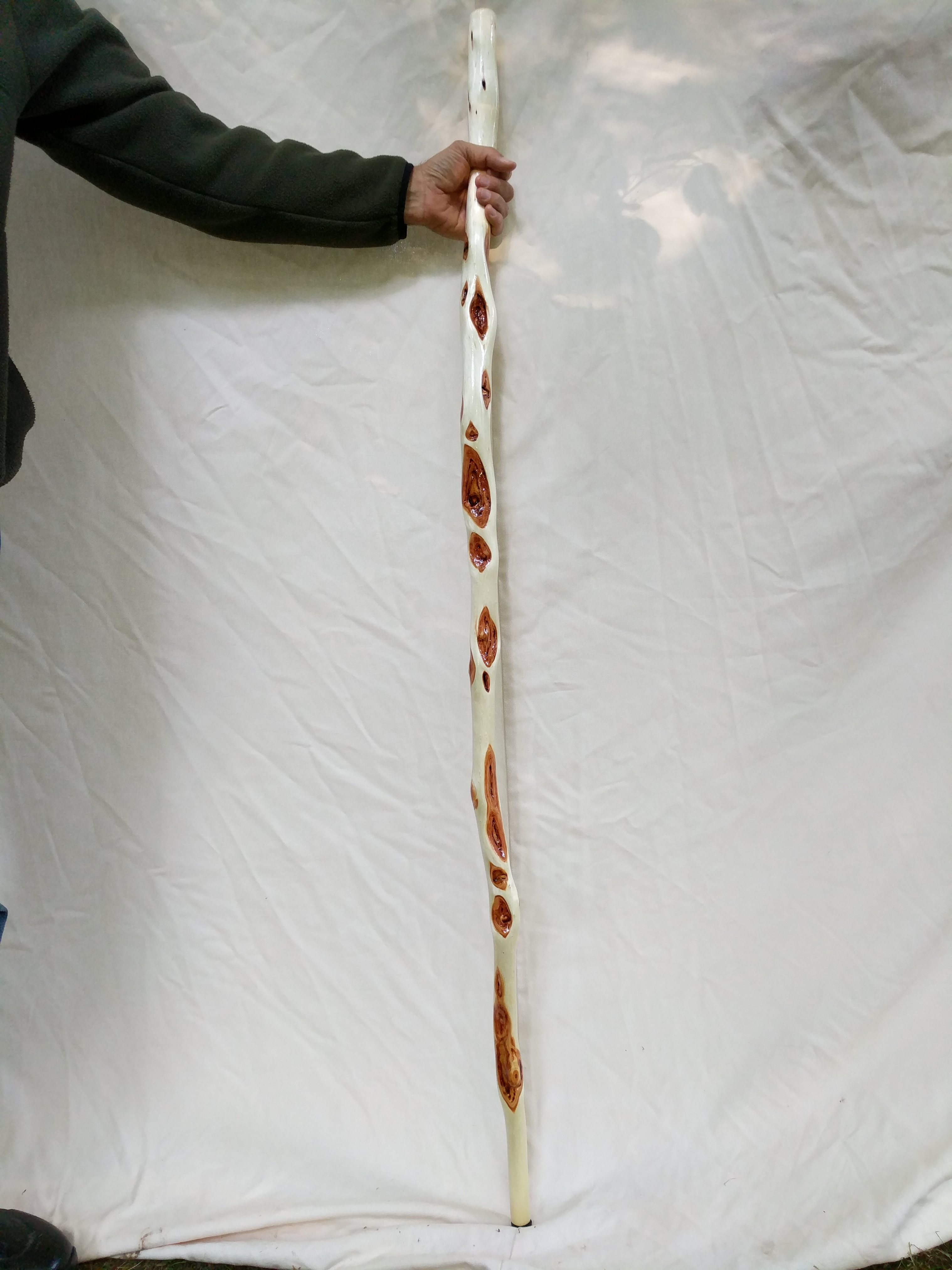 00000IMG_00000_BURST20170910080559